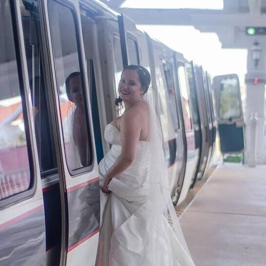 Disney Brides Planner for Travel 